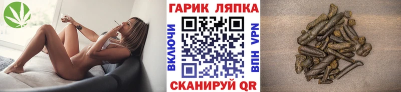 что такое   Красноармейск  ГАШ Premium 