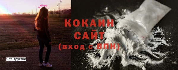 молекула духа Козловка